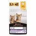 Pro Plan Original Kitten для котят с курицей Pro Plan Original Kitten для котят с курицей